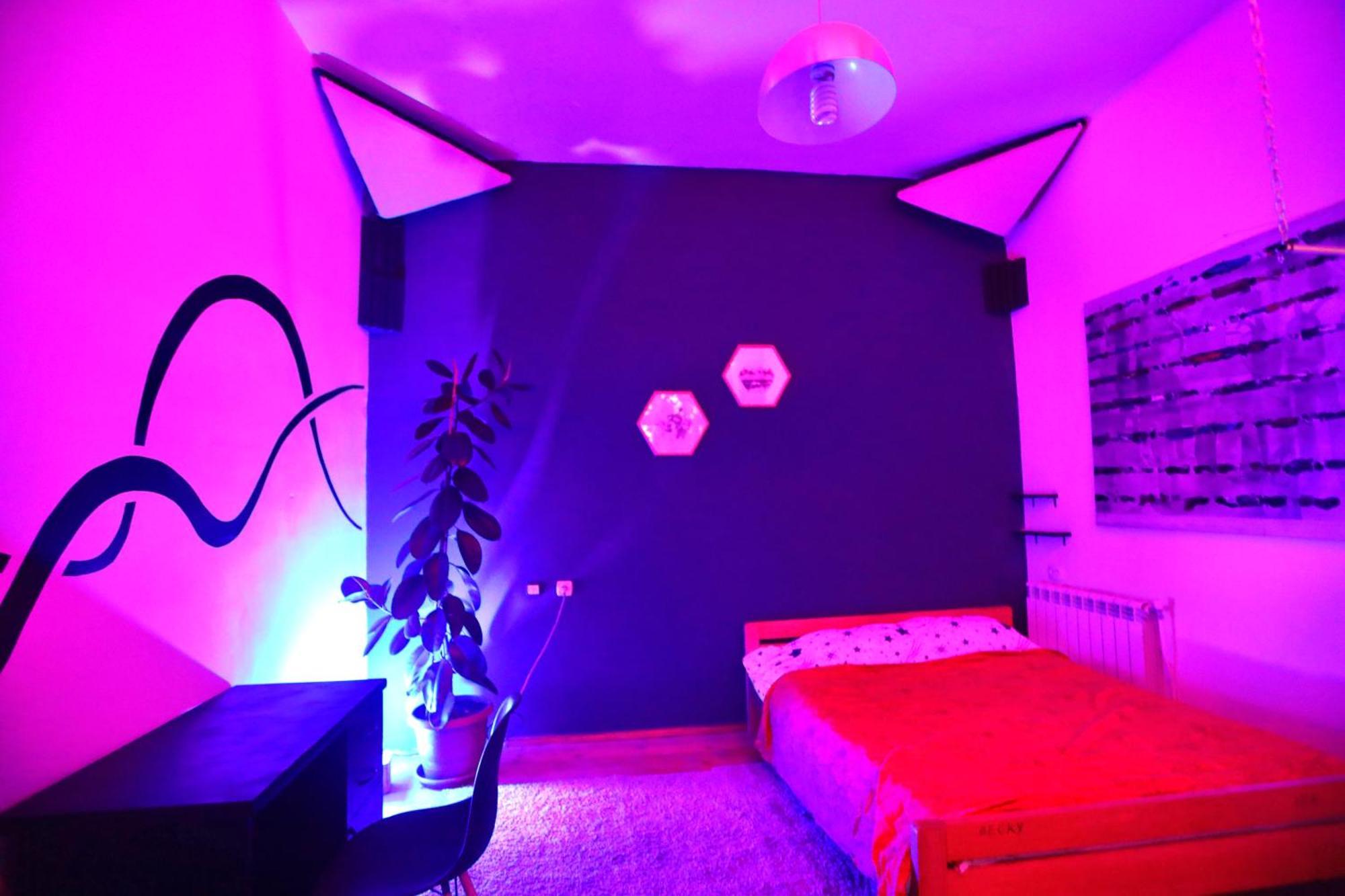Cosy Studio With Beautiful Garden Єреван Екстер'єр фото
